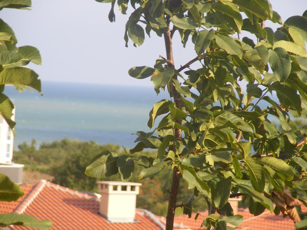 Guest House "Zora - Sarafovo" Бургас Екстериор снимка